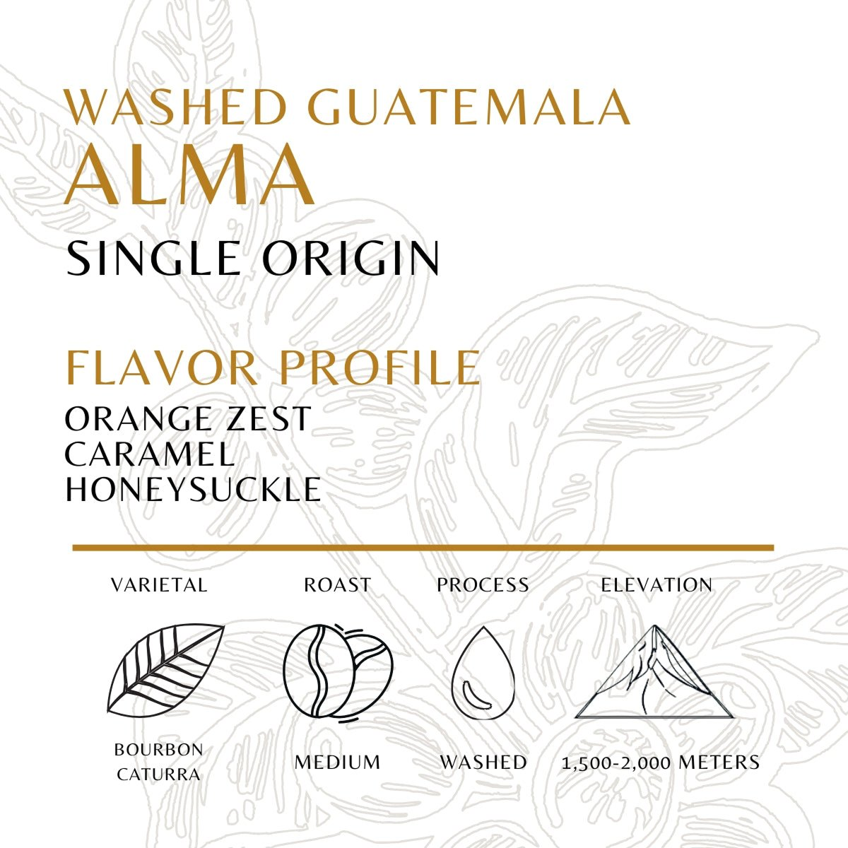 Alma
