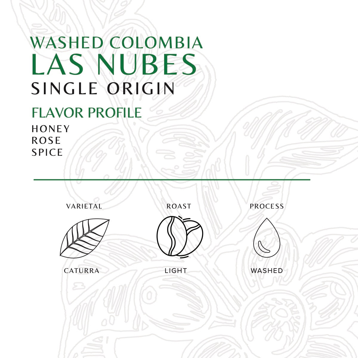 Colombia - Las Nubes Washed