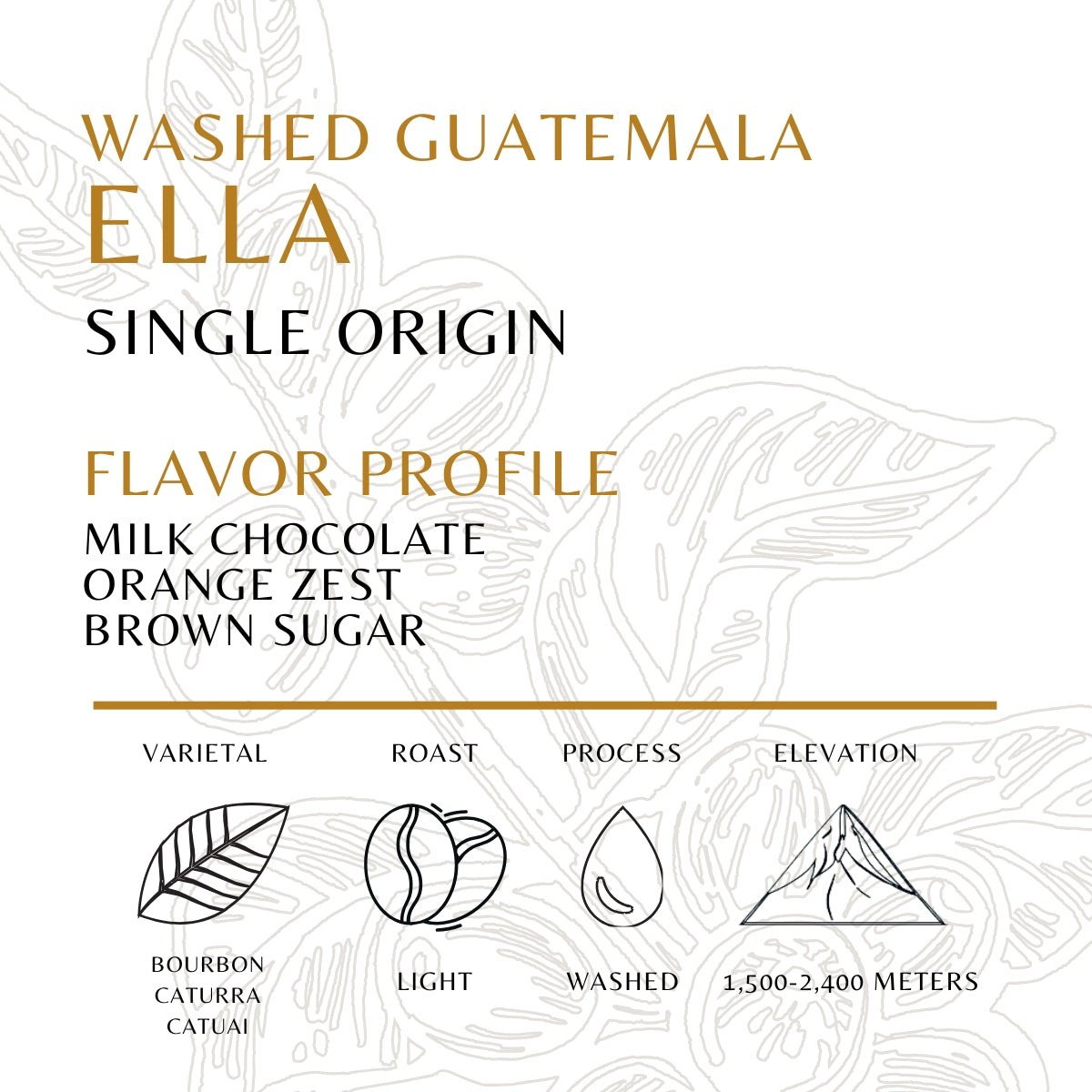 ELLA - Old World Coffee Roasters