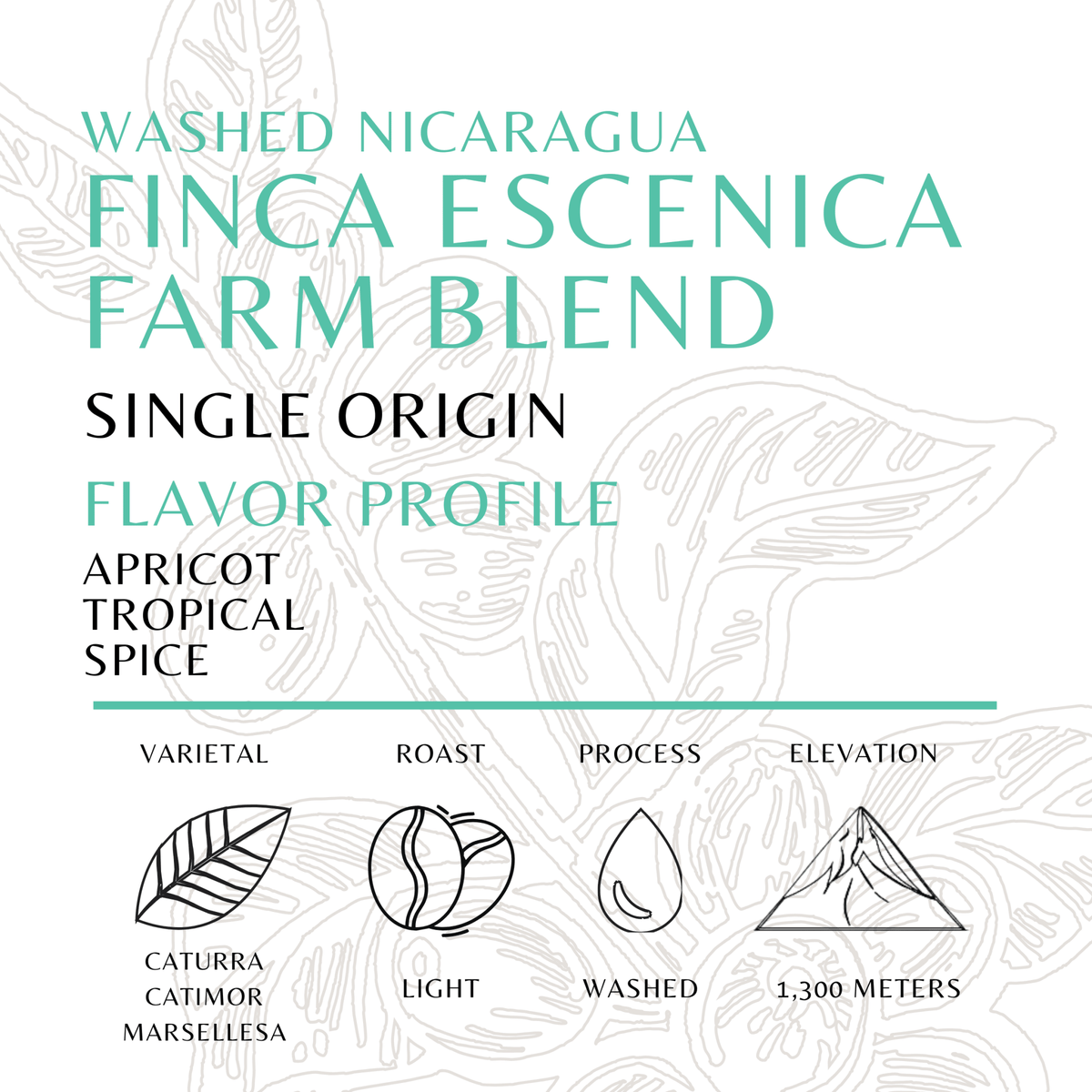 Finca Escenica Farm Blend - Old World Coffee Roasters