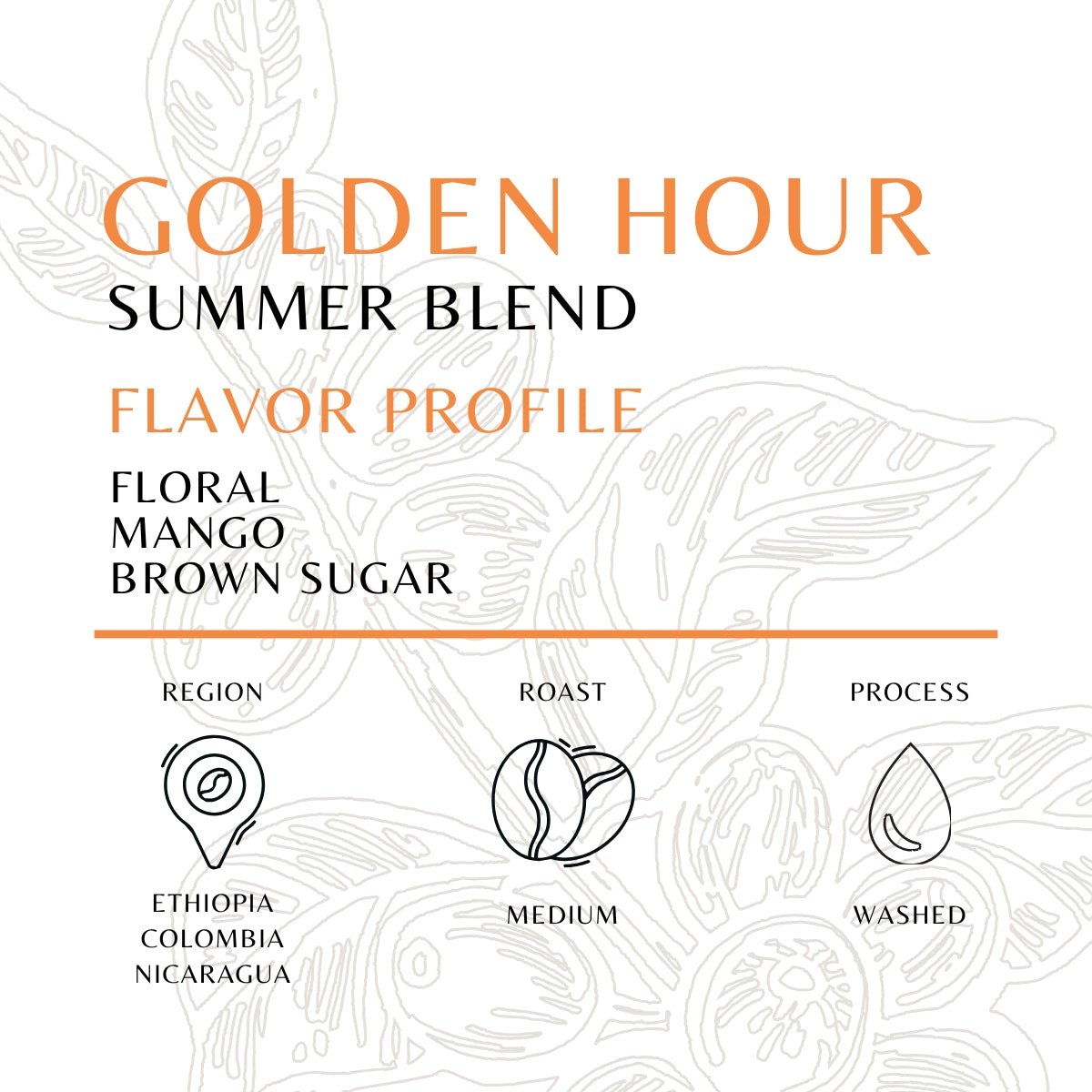 Golden Hour - Old World Coffee Roasters