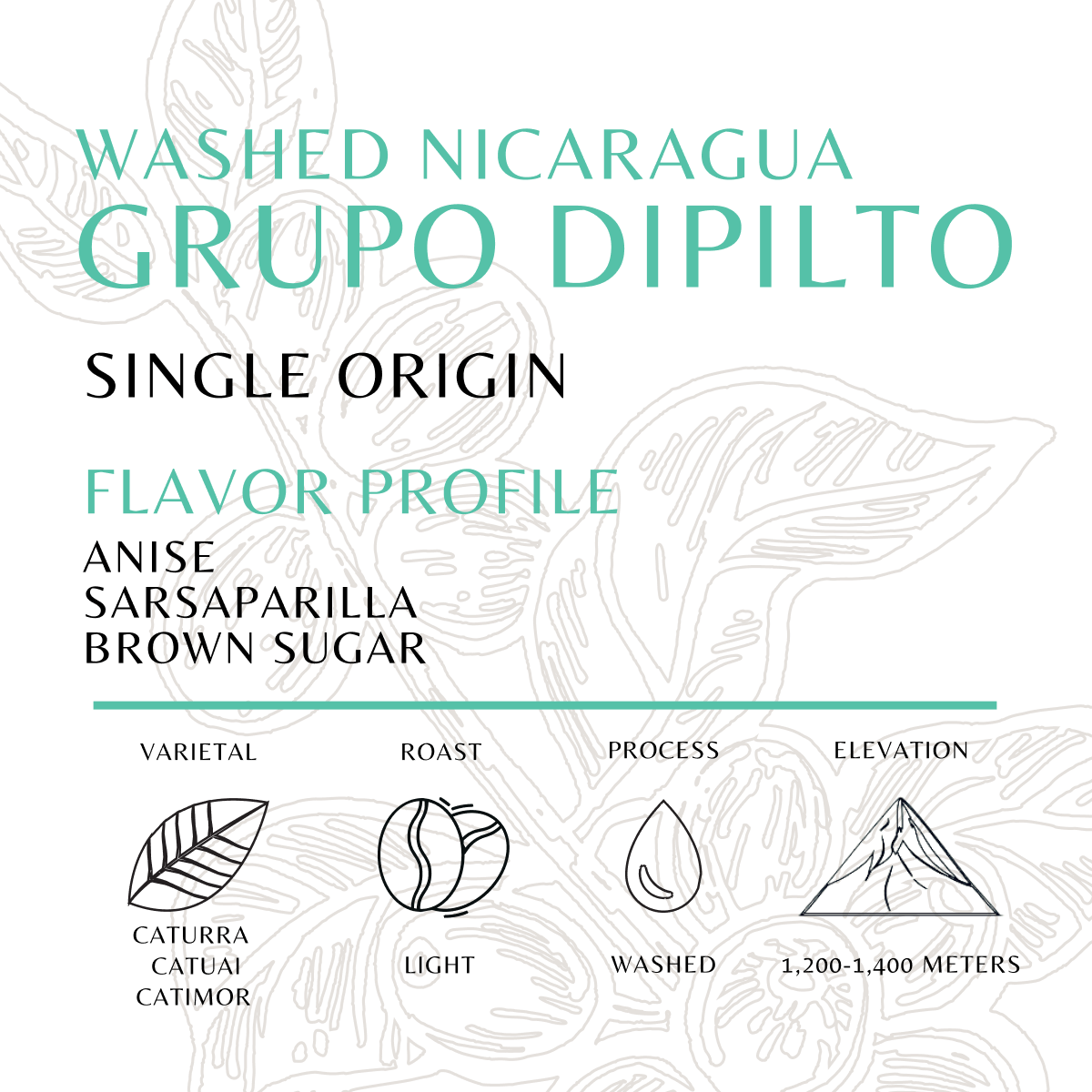 Grupo Dipilto - Old World Coffee Roasters