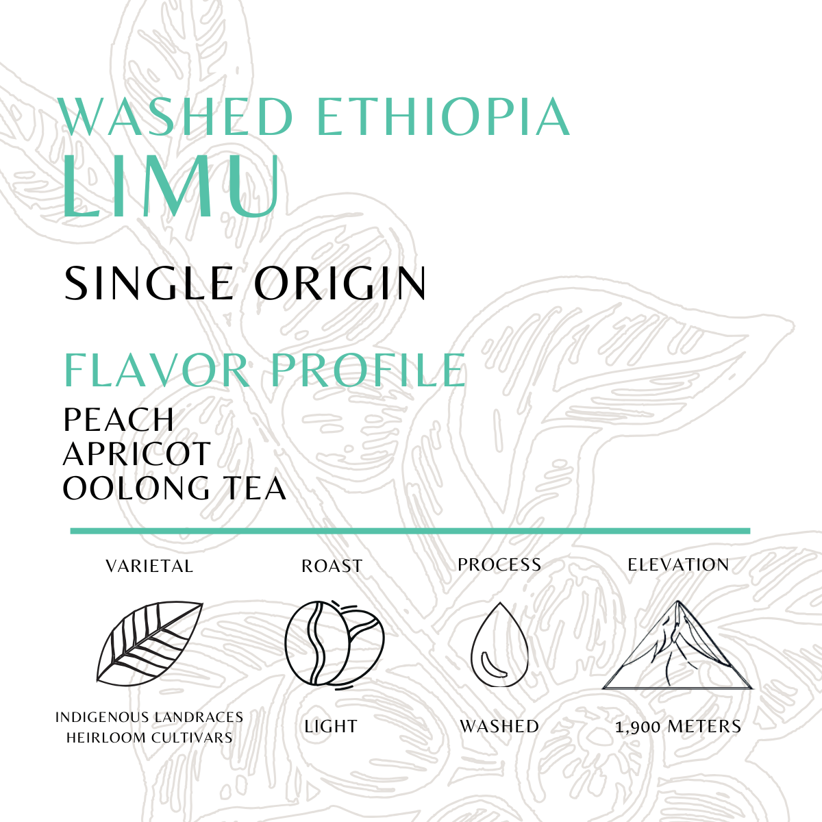 Limu - Old World Coffee Roasters