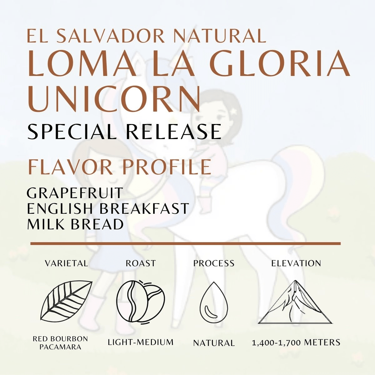 Loma La Gloria Unicorn - Old World Coffee Roasters