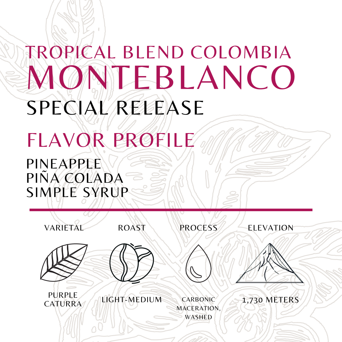 Monteblanco Tropical Blend - Old World Coffee Roasters