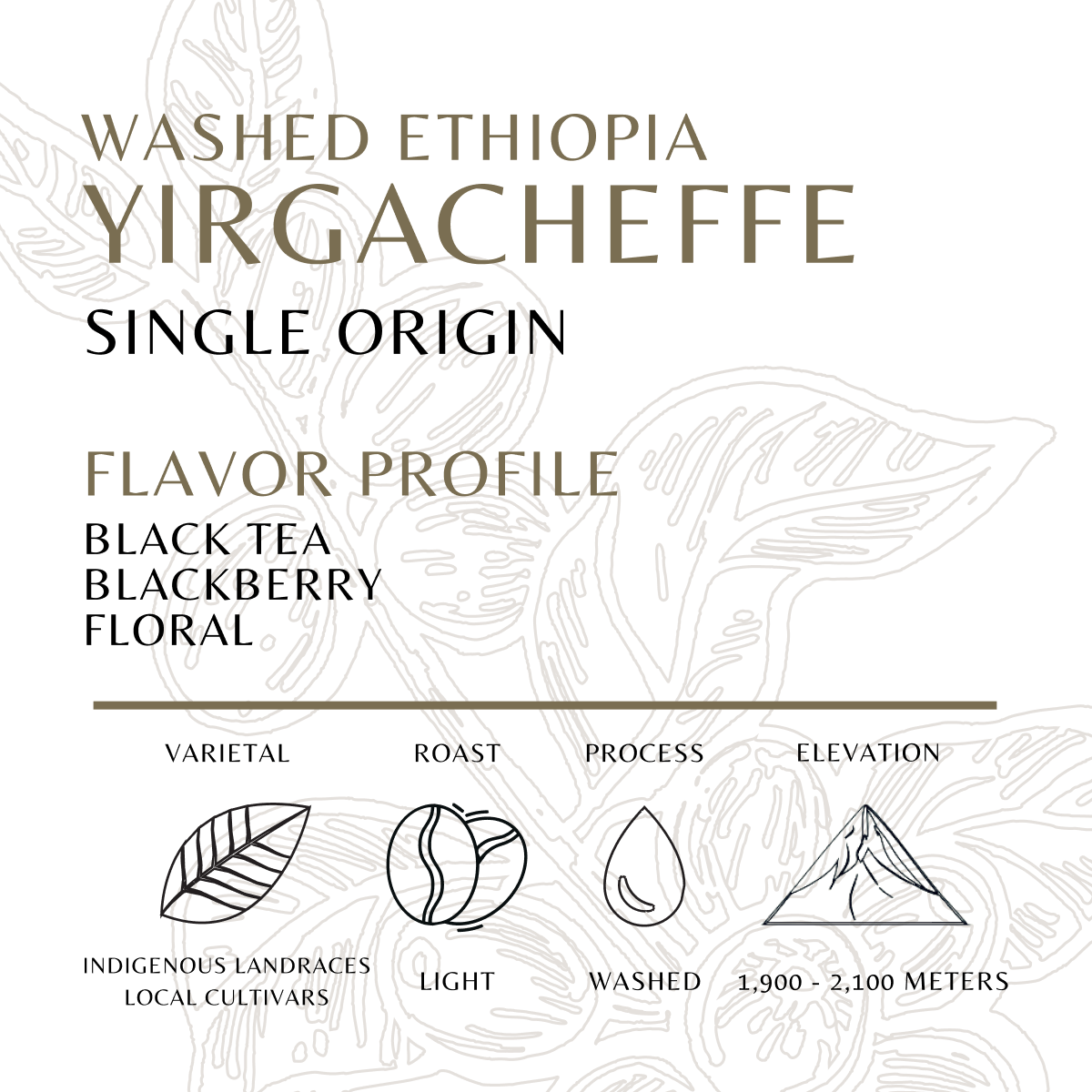 Yirgacheffe - Old World Coffee Roasters
