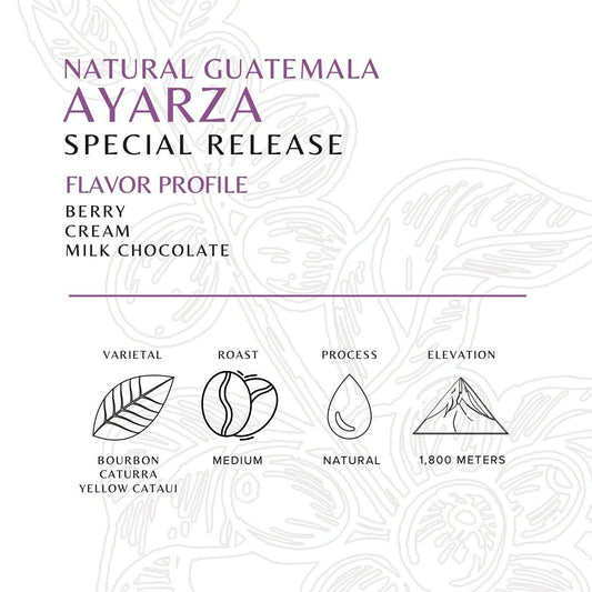 Guatemala - Ayarza - Natural - Old World Coffee Roasters