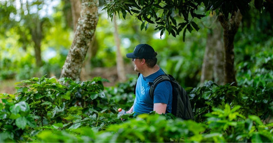 Long Live Farmers: More Than a Tagline - Old World Coffee Roasters