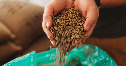 Single Origin vs Blend Coffee: How to Choose - Old World Coffee Roasters