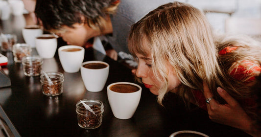 Why We Cup: Inside a Coffee Cupping in Reno - Old World Coffee Roasters