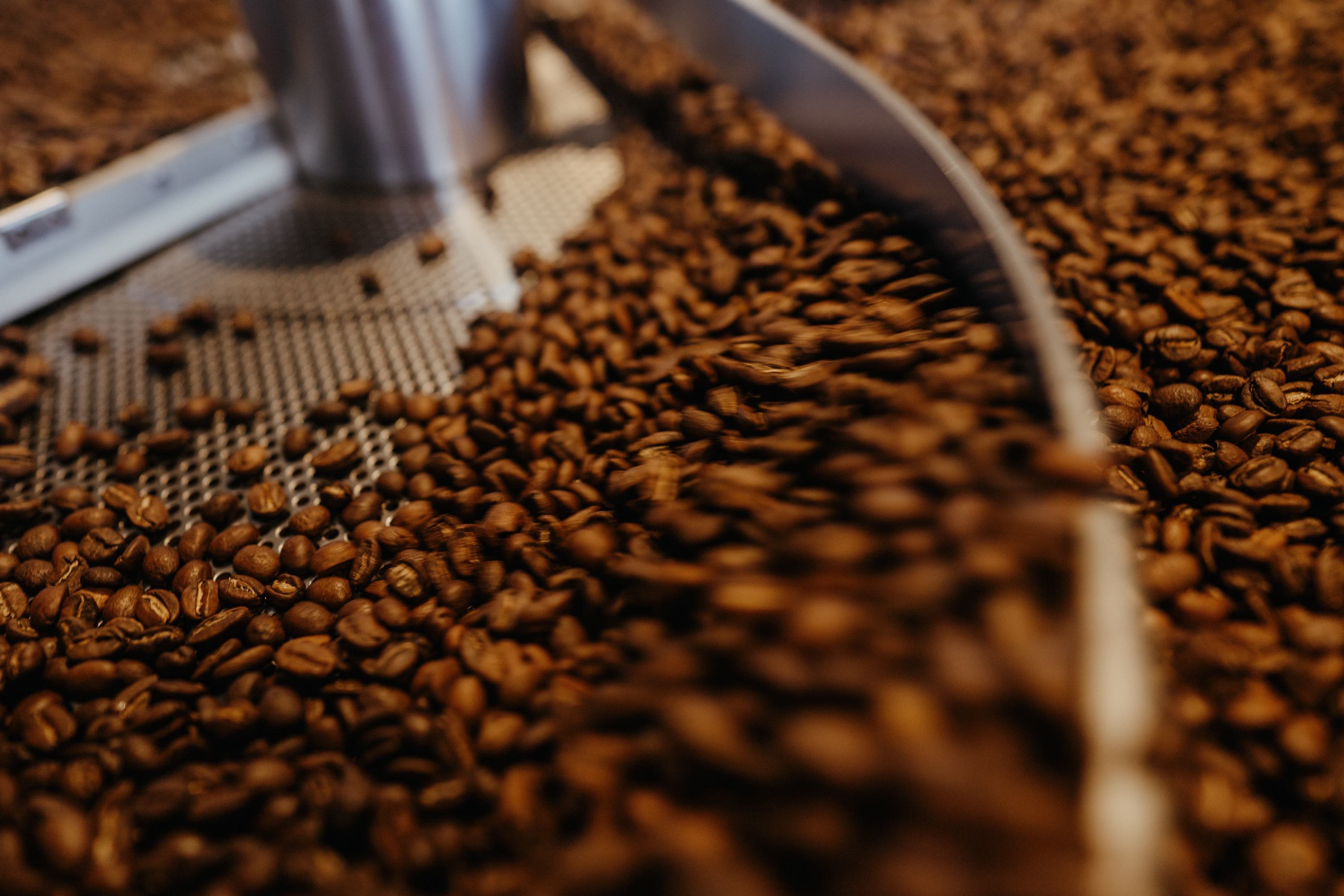 Old World Coffee Lab Old World Coffee Roasters