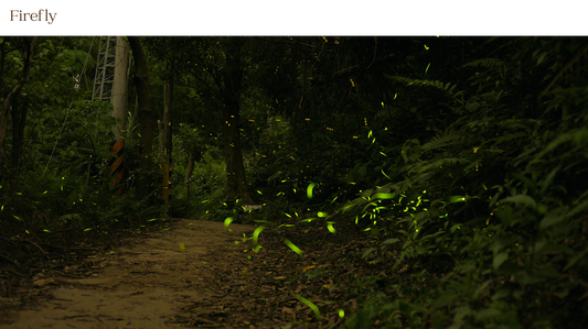Firefly hover image