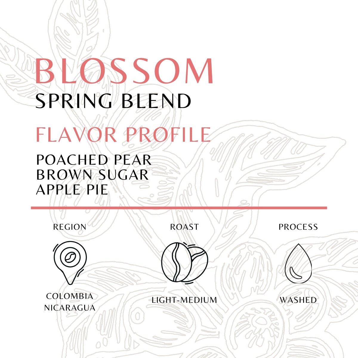 Blossom - Spring Blend - Old World Coffee Roasters