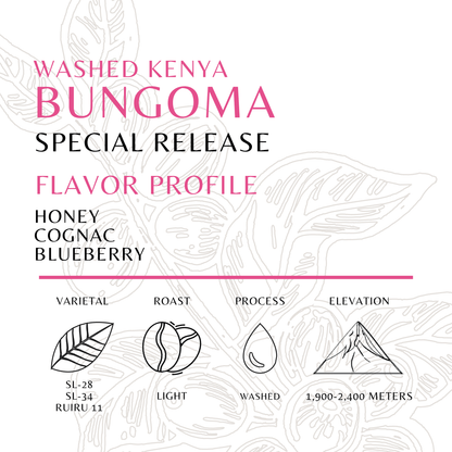 Bungoma - Old World Coffee Roasters
