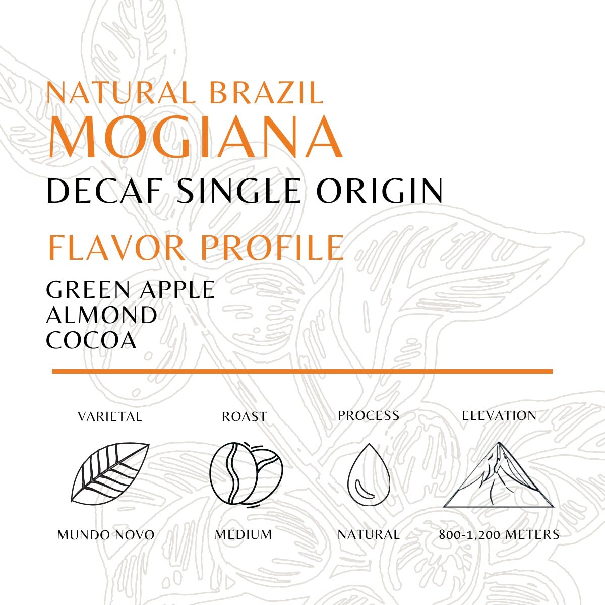 Decaf Brazil - Mogiana - Natural - Old World Coffee Roasters