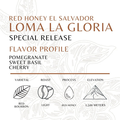 El Salvador - Loma La Gloria - Red Honey - Old World Coffee Roasters