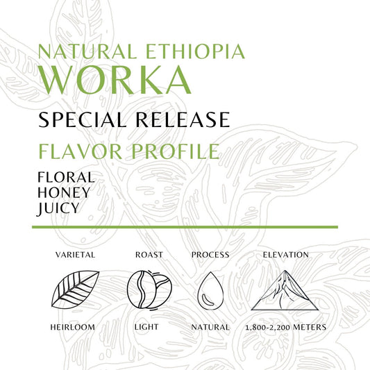 Ethiopia - Worka - Natural - Old World Coffee Roasters