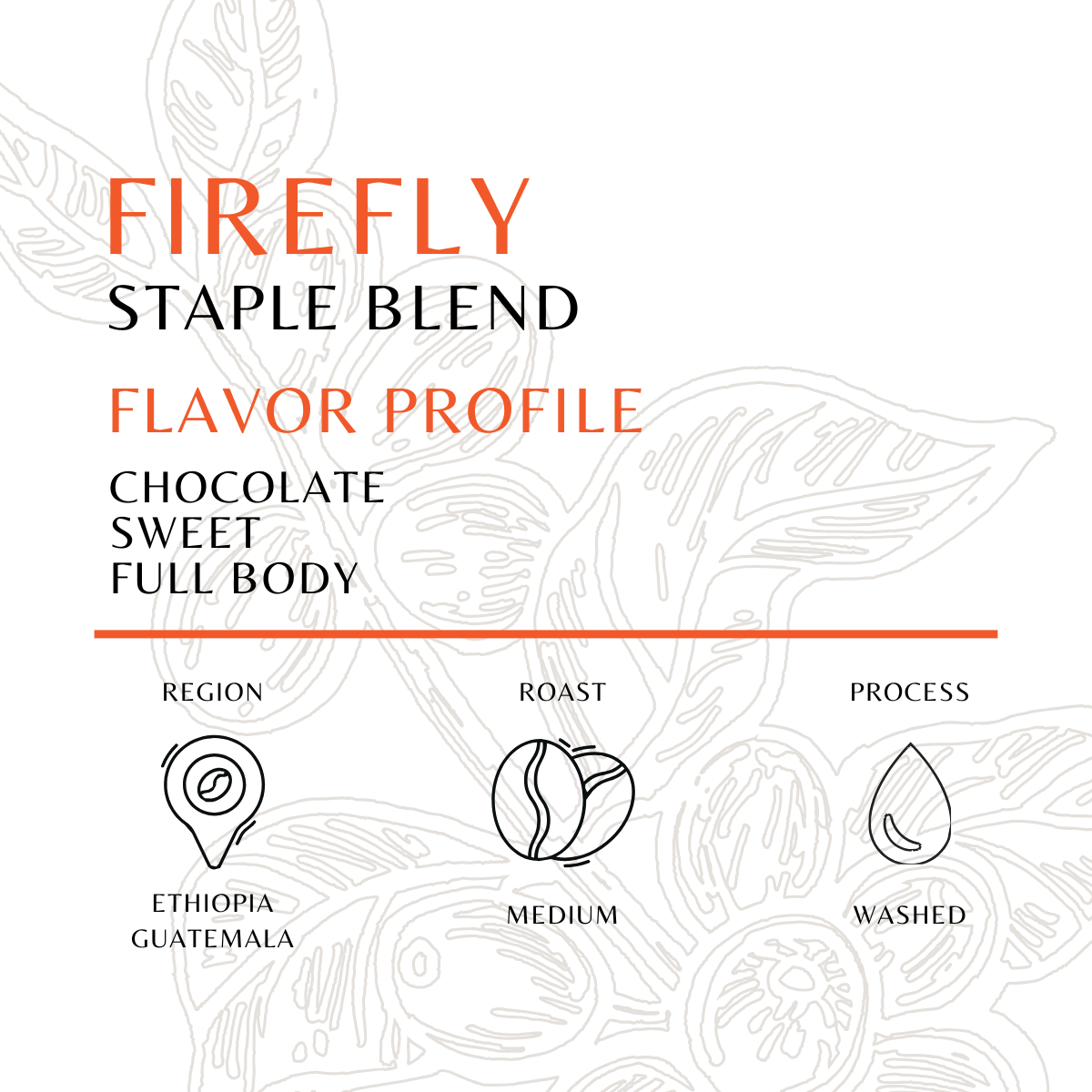 Firefly - Old World Coffee Roasters