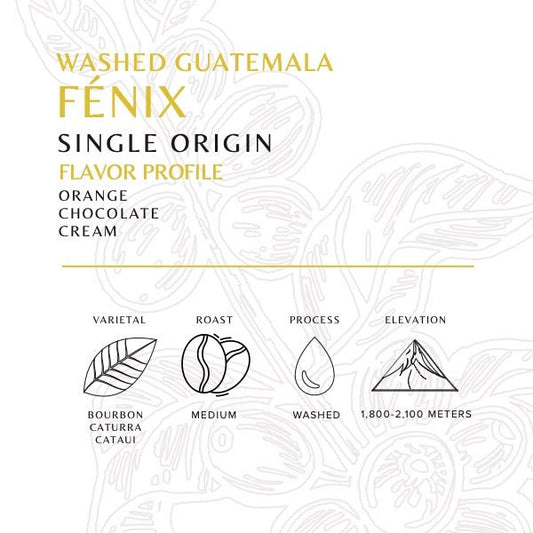 Guatemala - Fénix - Washed - Old World Coffee Roasters