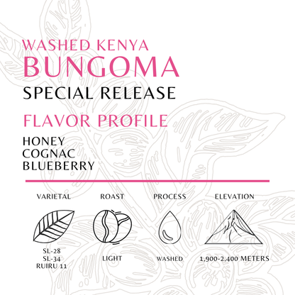 Kenya - Bungoma - Washed - Old World Coffee Roasters