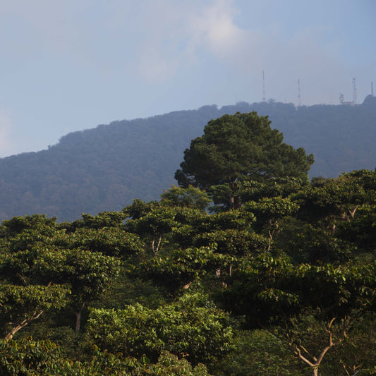 Loma La Gloria Unicorn hover image