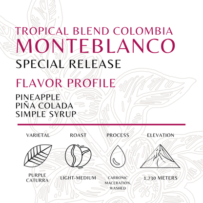 Monteblanco Tropical Blend - Old World Coffee Roasters