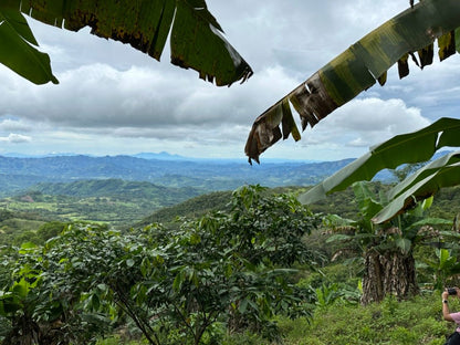 Nicaragua - Finca Escenica - Washed