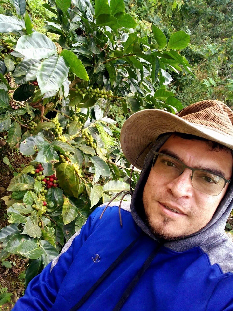 Nicaragua - Grupo Dipilto - Washed - Old World Coffee Roasters