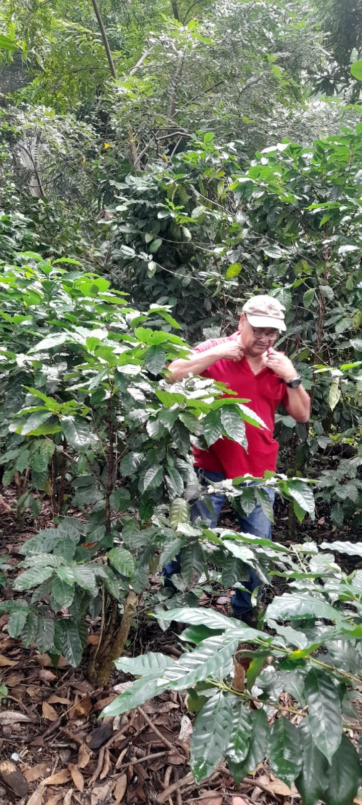 Nicaragua - Grupo Dipilto - Washed - Old World Coffee Roasters