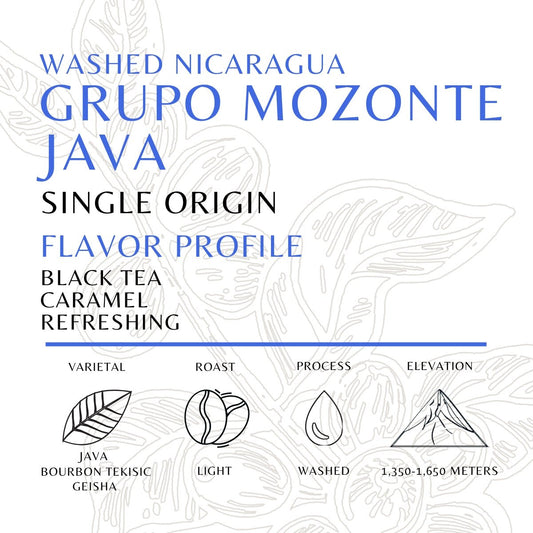 Nicaragua - Grupo Mozonte Java - Washed - Old World Coffee Roasters