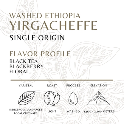 Yirgacheffe - Old World Coffee Roasters