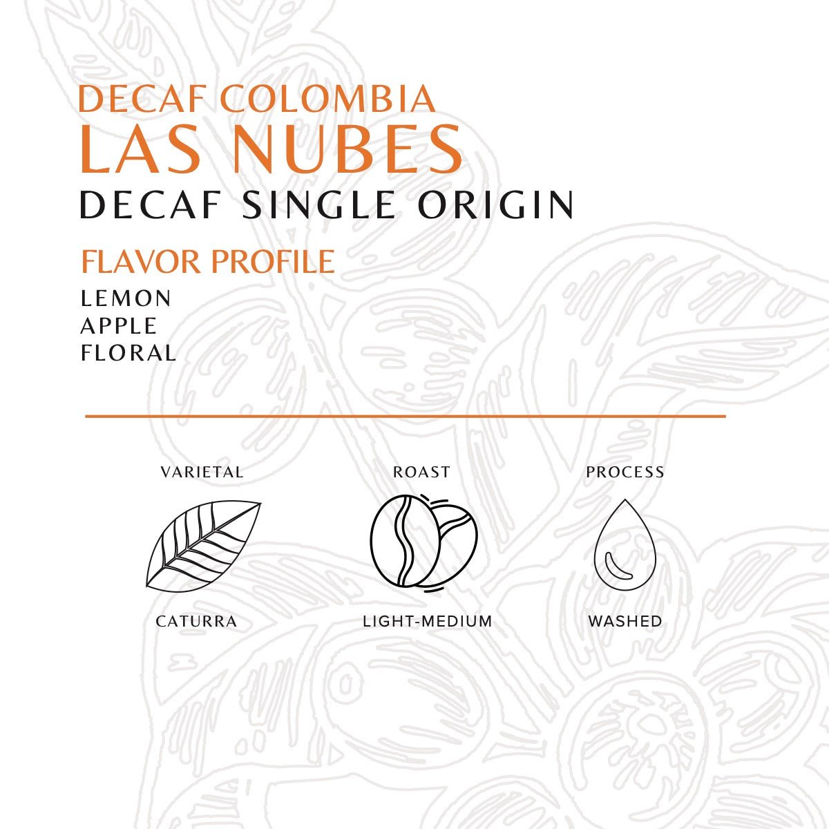 Decaf - Colombia - Las Nubes - Old World Coffee Roasters