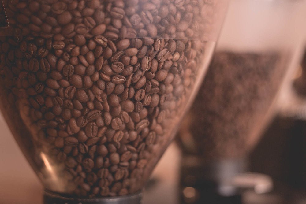 Firefly Espresso Blend - Old World Coffee Roasters